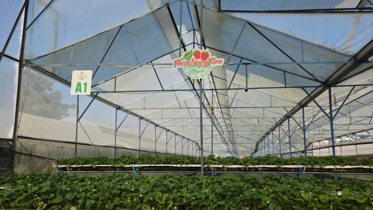 重庆邦达斯储能柜型号与BMS系统技术参数对比分析