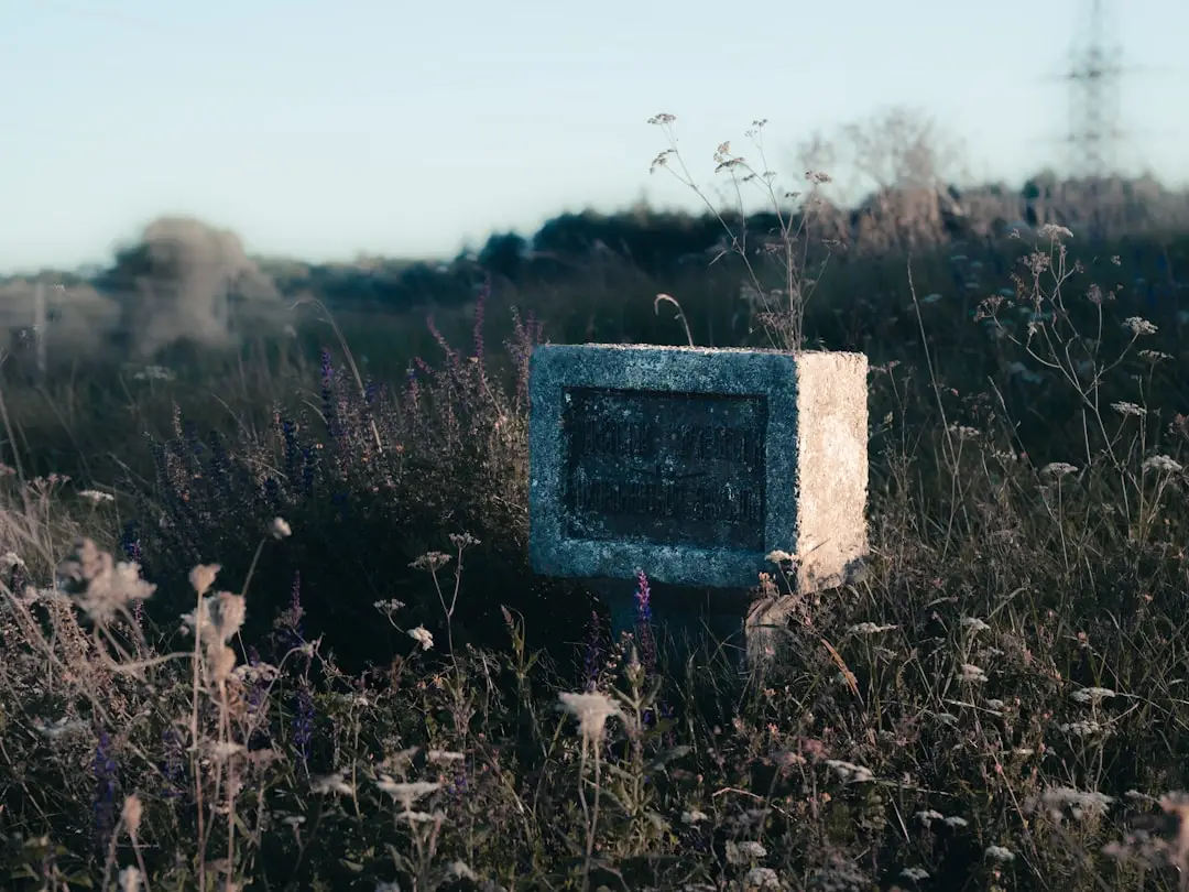 重庆邦达斯储能柜BMS系统在削峰填谷中的应用优势