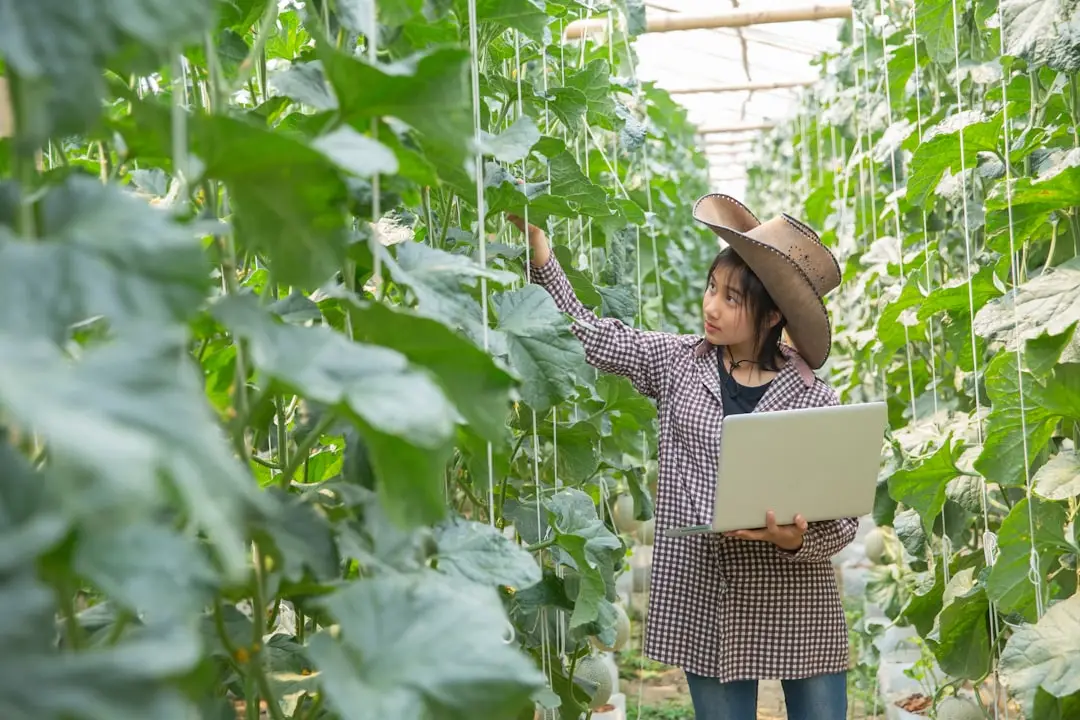 储能柜在工业园区削峰填谷中的应用效益分析