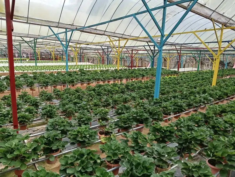 储能柜搭配锂电池BMS系统在工厂削峰填谷中的技术要点分析
